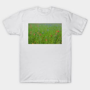 Summer splendour wild flower garden T-Shirt